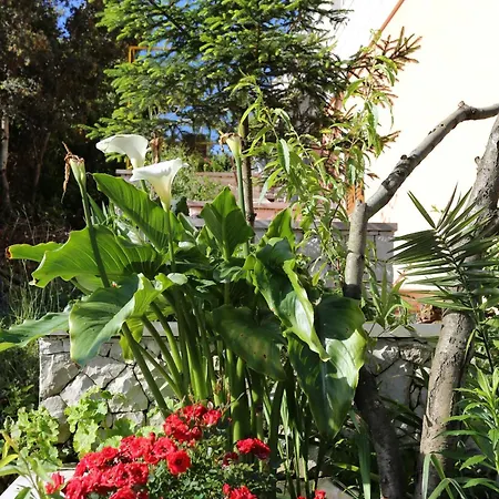 By The Sea Tri Zala, Korcula - 4432 Appartement Zrnovo